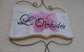 L'Orchidee